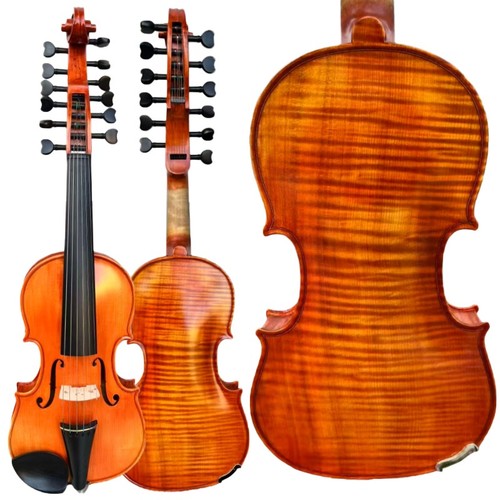 Song master12 strings - master12, violin